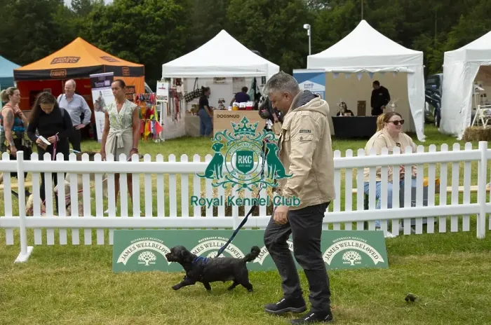 Framed Print : Scruffts 2023 regional round DogFest Tatton Park, Manchester Framed Print : Scruffts 2023 regional round DogFest Tatton Park, Manchester