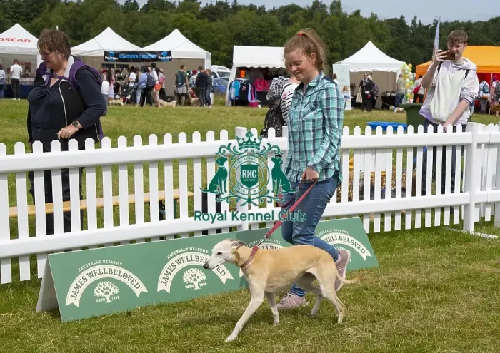 Framed Print : Scruffts 2023 regional round DogFest Tatton Park, Manchester Framed Print : Scruffts 2023 regional round DogFest Tatton Park, Manchester