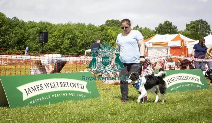 Framed Print : Scruffts Essex Hylands May 26, 2019 Framed Print : Scruffts Essex Hylands May 26, 2019