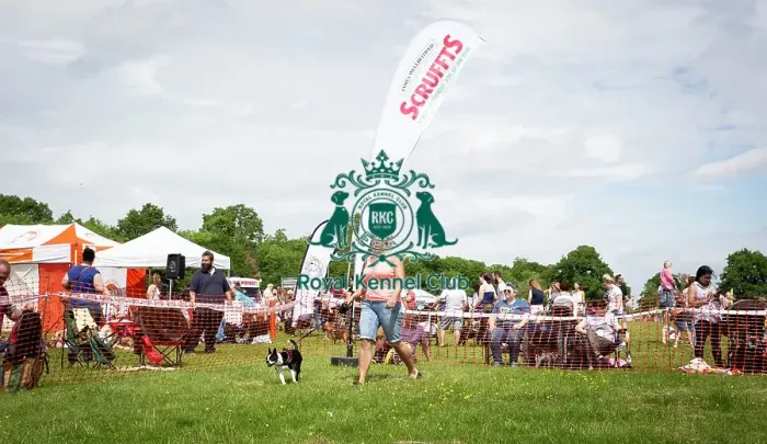 Framed Print : Scruffts Essex Hylands May 26, 2019 Framed Print : Scruffts Essex Hylands May 26, 2019