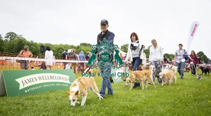 Framed Print : Scruffts Essex Hylands May 26, 2019 Framed Print : Scruffts Essex Hylands May 26, 2019