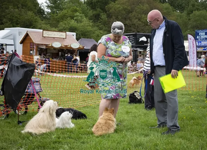 Framed Print : Scruffts Essex Hylands May 26, 2019 Framed Print : Scruffts Essex Hylands May 26, 2019