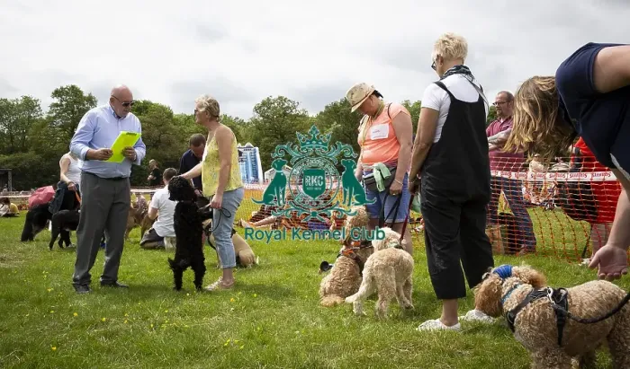 Framed Print : Scruffts Essex Hylands May 26, 2019 Framed Print : Scruffts Essex Hylands May 26, 2019