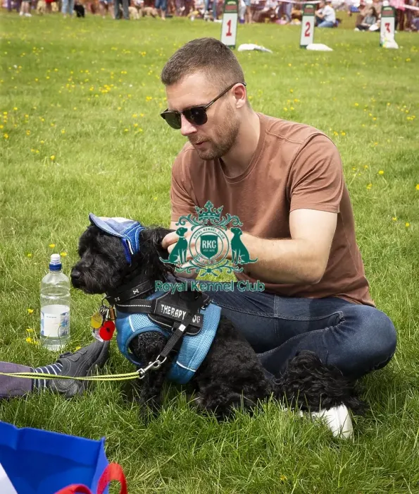 Framed Print : Scruffts Essex Hylands May 26, 2019 Framed Print : Scruffts Essex Hylands May 26, 2019