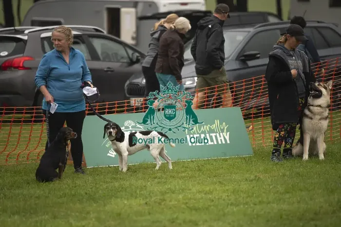 Framed Print : Scruffts Family Crossbreed of the Year competition All About Dogs Cornwall 22 / 09 / 24