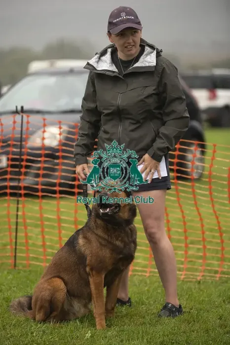 Framed Print : Scruffts Family Crossbreed of the Year competition All About Dogs Cornwall 22 / 09 / 24