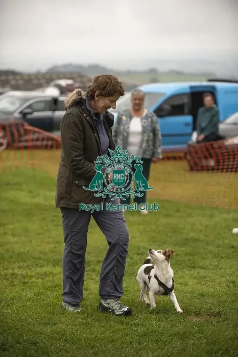 Framed Print : Scruffts Family Crossbreed of the Year competition All About Dogs Cornwall Framed Print : Scruffts Family Crossbreed of the Year competition All About Dogs Cornwall