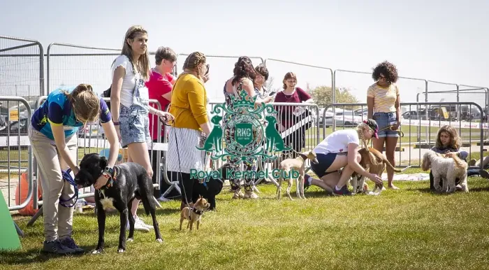 Framed Print : Scruffts Newark 2019 Framed Print : Scruffts Newark 2019