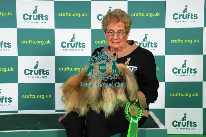 Framed Print : Sergio Amien from Spain, with Connon, a Yorkshire Terrier, which was the Best of Breed winner today (Sunday 12. 03. 23), the last day of Crufts 2023, at the NEC Birmingham Framed Print : Sergio Amien from Spain, with Connon, a Yorkshire Terrier, which was the Best of Breed winner today (Sunday 12. 03. 23), the last day of Crufts 2023, at the NEC Birmingham