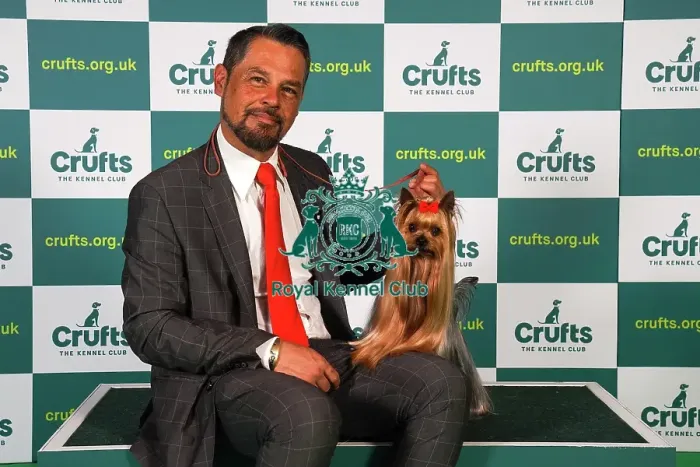 Framed Print : Sergio Amien from Spain, with Connon, a Yorkshire Terrier, which was the Best of Breed winner today (Sunday 12. 03. 23), the last day of Crufts 2023, at the NEC Birmingham Framed Print : Sergio Amien from Spain, with Connon, a Yorkshire Terrier, which was the Best of Breed winner today (Sunday 12. 03. 23), the last day of Crufts 2023, at the NEC Birmingham