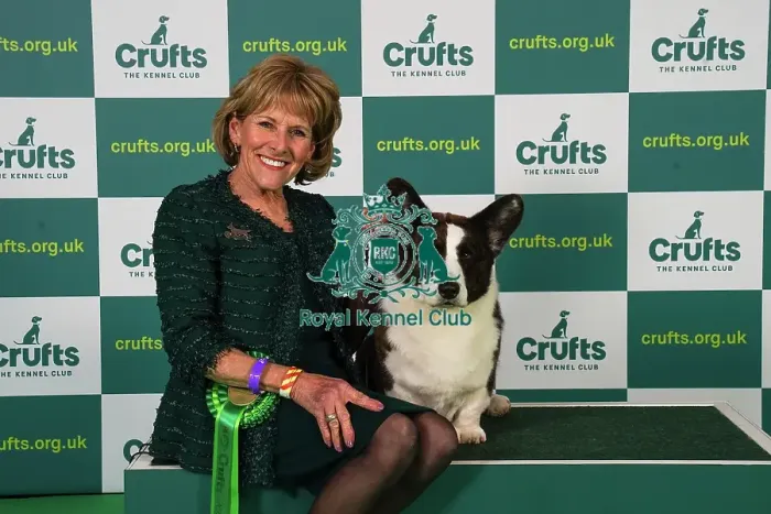 Framed Print : Sherri Hunt from Houston with Noah, a Welsh Corgi (Cardigan), which was the Best of Breed winner today (Friday 10. 03. 23), the second day of Crufts 2023, at the NEC Birmingham Framed Print : Sherri Hunt from Houston with Noah, a Welsh Corgi (Cardigan), which was the Best of Breed winner today (Friday 10. 03. 23), the second day of Crufts 2023, at the NEC Birmingham
