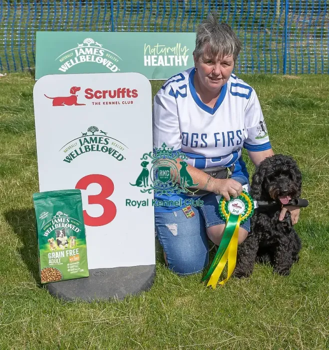 Framed Print : Sponsors Name Most Handsome Crossbreed Dog Class