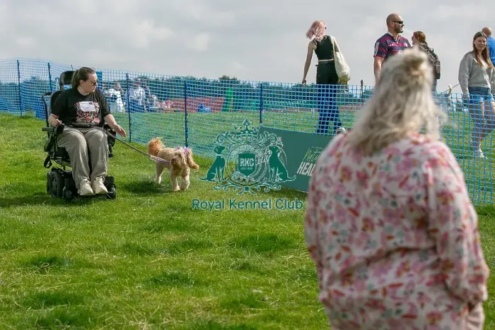 Framed Print : Sponsors Name Scruffts Heats Good Citizen Dog Scheme Framed Print : Sponsors Name Scruffts Heats Good Citizen Dog Scheme