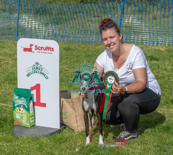 Framed Print : Sponsors Name Scruffts Heats Scruffts Family Crossbreed Of The Year Competition Framed Print : Sponsors Name Scruffts Heats Scruffts Family Crossbreed Of The Year Competition