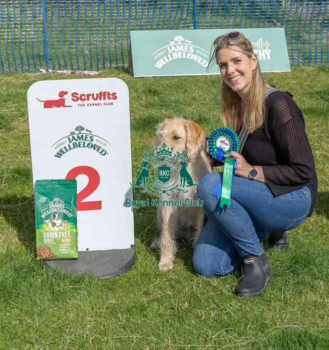 Framed Print : Sponsors Name Scruffts Heats Scruffts Family Crossbreed Of The Year Competition Framed Print : Sponsors Name Scruffts Heats Scruffts Family Crossbreed Of The Year Competition