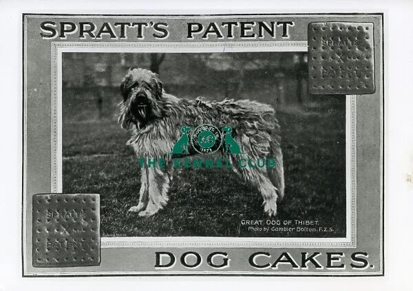 Spratts Patent Dog Cakes
