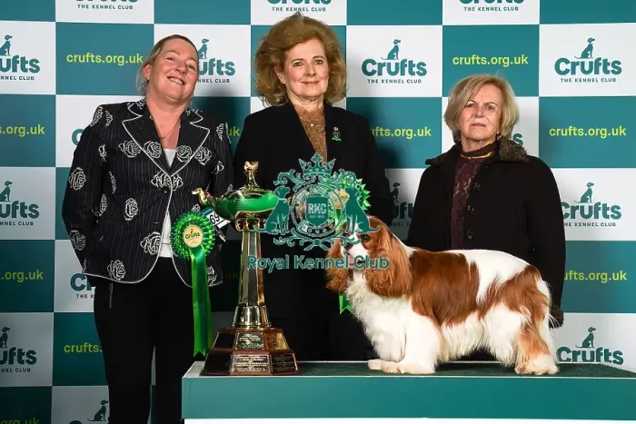 Framed Print : Tanya Ireland from Essex, with Dublin, a Cavalier King Charles Spaniel, which was the Best in Group winner today (Sunday 12. 03. 23), the last day of Crufts 2023, at the NEC Birmingham. Tanya Ireland from Essex, with Dublin Framed Print : Tanya Ireland from Essex, with Dublin, a Cavalier King Charles Spaniel, which was the Best in Group winner today (Sunday 12. 03. 23), the last day of Crufts 2023, at the NEC Birmingham. Tanya Ireland from Essex, with Dublin