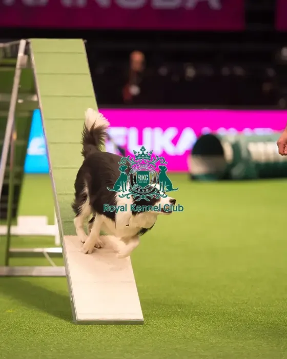 Framed Print : Teams Medium Final Framed Print : Teams Medium Final