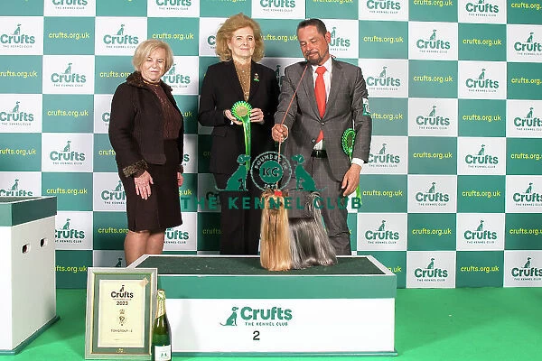 Toy Group 2nd Place Crufts 2023