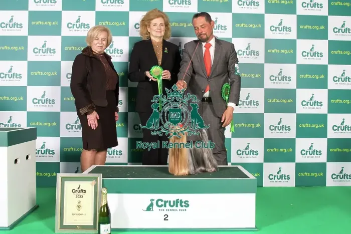 Framed Print : Toy Group 2nd Place Crufts 2023 Framed Print : Toy Group 2nd Place Crufts 2023