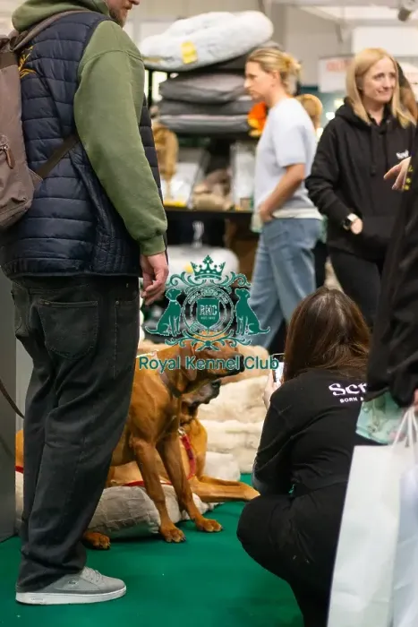 Framed Print : Trade stand - dog beds Framed Print : Trade stand - dog beds