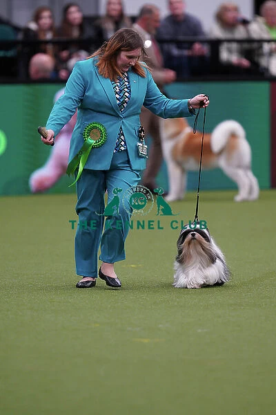 Vicky Clutterbuck from Newbury, with Lettuce, a Lhasa Apso, which was the Best of Breed winner today (Sunday 12. 03. 23), the last day of Crufts 2023, at the NEC Birmingham