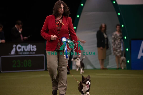 Vulnerable Breed competition Crufts 2022