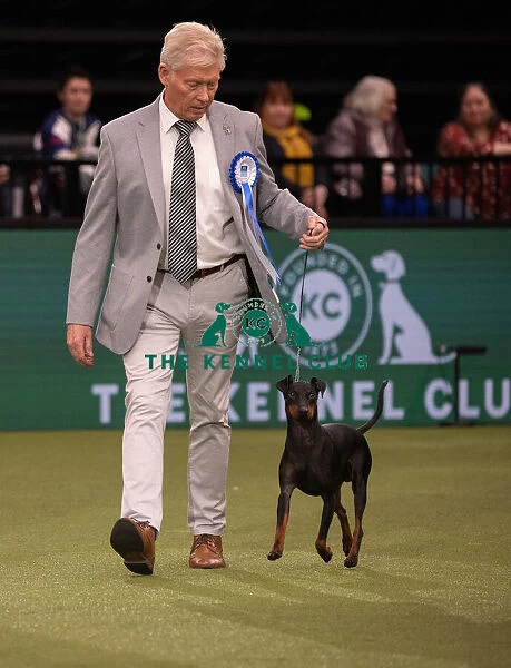 Vulnerable Breed Competition Crufts 2022