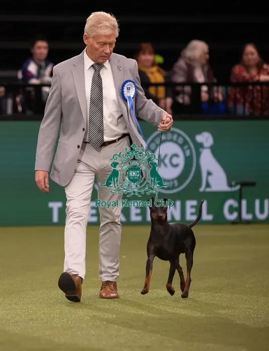 Framed Print : Vulnerable Breed Competition Crufts 2022 Framed Print : Vulnerable Breed Competition Crufts 2022