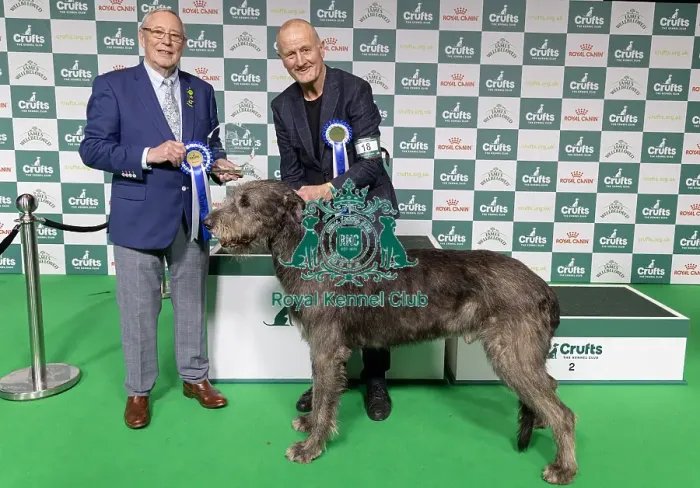 Framed Print : Vulnerable Breeds Competion Winner Roger Tebburtt with Tozzie an Irish Wolfhound Framed Print : Vulnerable Breeds Competion Winner Roger Tebburtt with Tozzie an Irish Wolfhound
