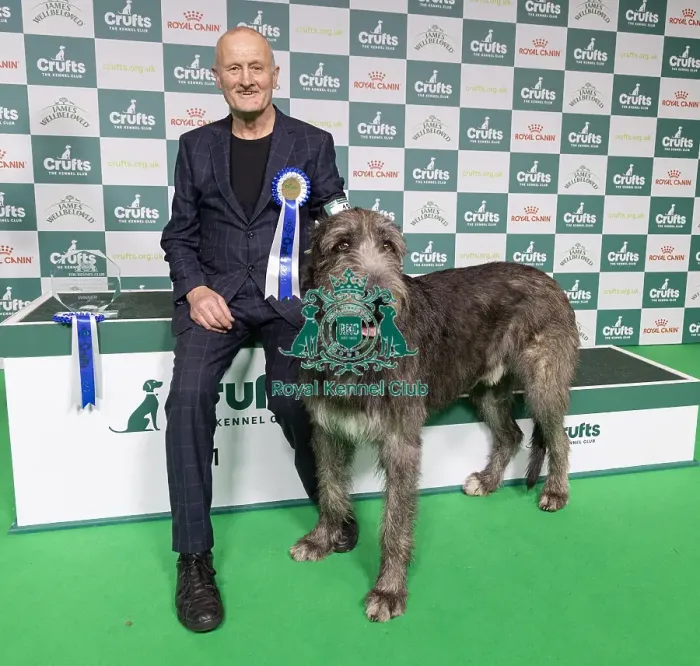 Framed Print : Vulnerable Breeds Competion Winner Roger Tebburtt with Tozzie an Irish Wolfhound Framed Print : Vulnerable Breeds Competion Winner Roger Tebburtt with Tozzie an Irish Wolfhound