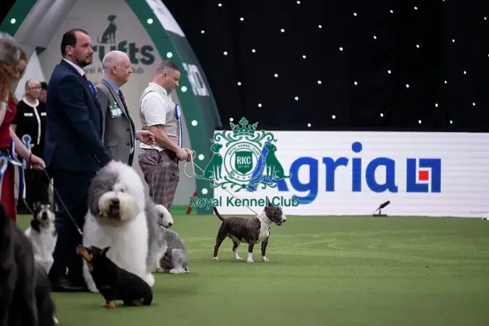 Framed Print : Vulnerable Breeds Competition Final