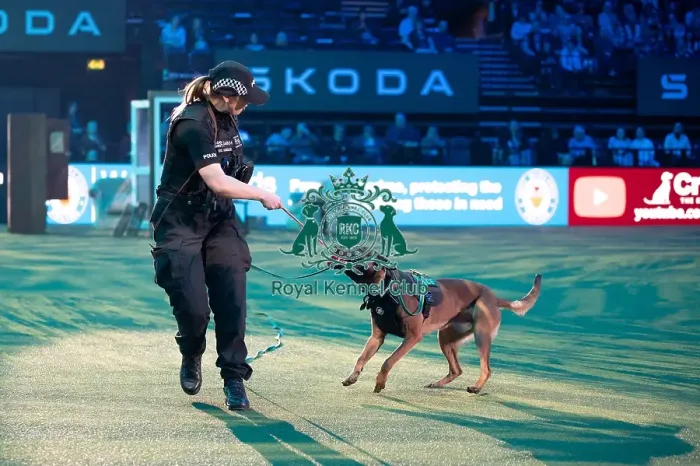Framed Print : West Midlands Police dog Display Framed Print : West Midlands Police dog Display