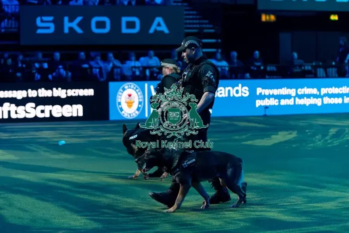 Framed Print : West Midlands Police Dog Unit Display in action Framed Print : West Midlands Police Dog Unit Display in action