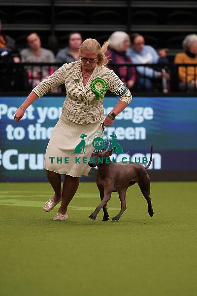 Whitney Meeks from Indiana, USA, with Itzia, a Xoloitzcuintle (Mexican Hairless) (Standard), which was the Best of Breed winner today (Sunday 12. 03. 23), the last day of Crufts 2023, at the NEC Birmingham