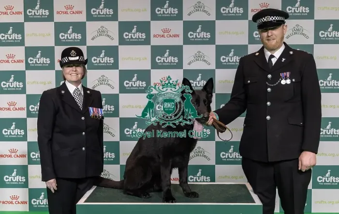 Framed Print : Winner of the Police Dog Team Operational & humanitarian Action of the Year Award Toby Spires with Tsar today