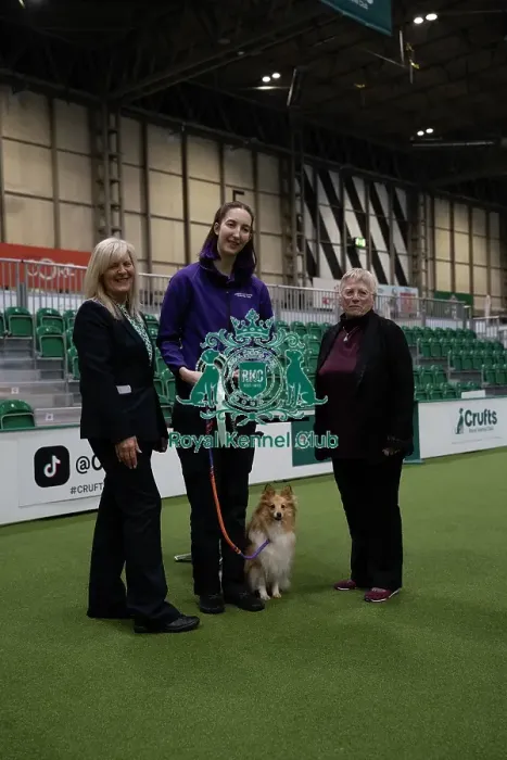 Framed Print : Winner of the Rally Dog Award, Advance award levels 3&4 Winner of the Rally Dog Award, Advance award levels 3&4