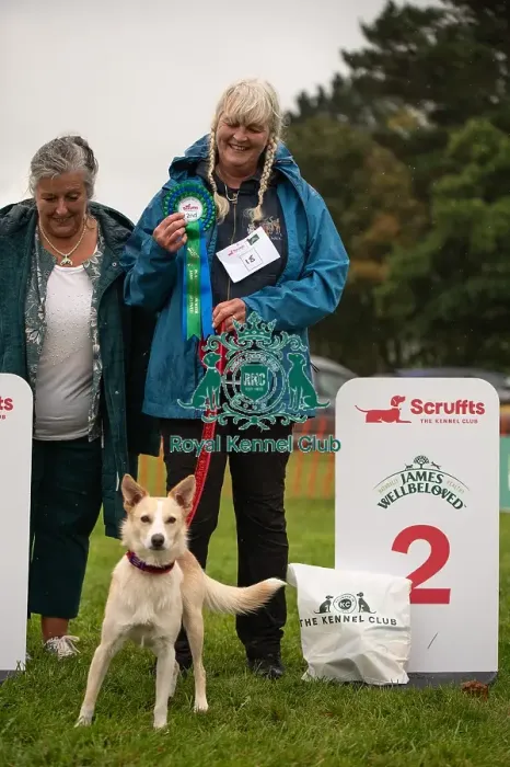 Framed Print : Winners_at_Scruffts_All_About_Dogs_Cornwall