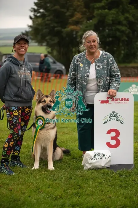 Framed Print : Winners_at_Scruffts_All_About_Dogs_Cornwall