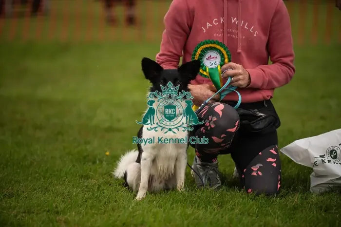 Framed Print : Winners_at_Scruffts_All_About_Dogs_Cornwall