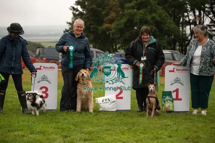 Framed Print : Winners_at_Scruffts_All_About_Dogs_Cornwall Framed Print : Winners_at_Scruffts_All_About_Dogs_Cornwall
