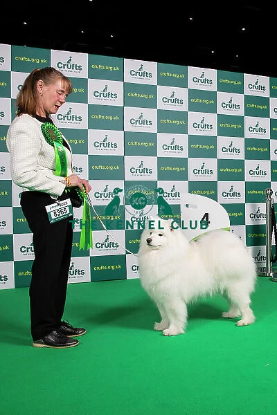 Working group 4th Place Crufts 2023