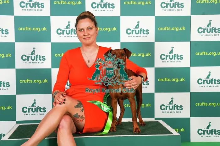 Framed Print : Yasmin Muthias from Germany with Effie, a German Pinscher, which was the Best of Breed winner today (Friday 10. 03. 23), the second day of Crufts 2023, at the NEC Birmingham Framed Print : Yasmin Muthias from Germany with Effie, a German Pinscher, which was the Best of Breed winner today (Friday 10. 03. 23), the second day of Crufts 2023, at the NEC Birmingham