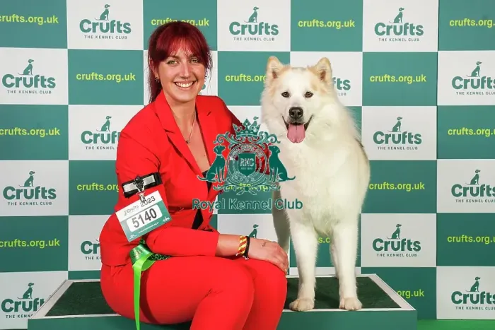 Framed Print : Yasmin Needham from Leicestershire with Nova, a Canadian Eskimo Dog, which was the Best of Breed winner today (Friday 10. 03. 23), the second day of Crufts 2023, at the NEC Birmingham Framed Print : Yasmin Needham from Leicestershire with Nova, a Canadian Eskimo Dog, which was the Best of Breed winner today (Friday 10. 03. 23), the second day of Crufts 2023, at the NEC Birmingham