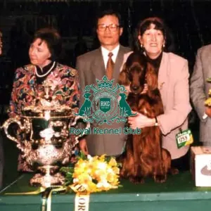 1995 Crufts Best in Show Winner 1995 Crufts Best in Show Winner