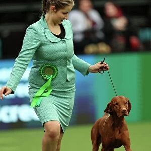 Adela Zafar from Woking with Hunter, a Hungarian Vizsla, which was the Best of Breed winner today (Thursday 09. 03. 23), the first day of Crufts 2023, at the NEC Birmingham