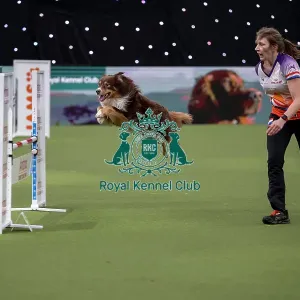 Agility International Invitation Agility International Invitation