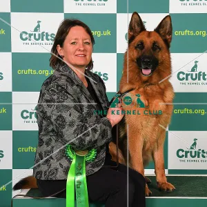 Ann Swift from Bath with Zara, a German Shepherd Dog, which was the Best of Breed winner today (Friday 10. 03. 23), the second day of Crufts 2023, at the NEC Birmingham