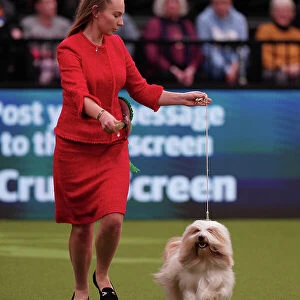 Augusta Mocililskyte from Lithuania, with Leo, a Tibetan Terrier, which was the Best of Breed winner today (Sunday 12. 03. 23), the last day of Crufts 2023, at the NEC Birmingham