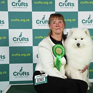 Barbara Johnson from Litchfield with Ella, a Samoyed, which was the Best of Breed winner today (Friday 10. 03. 23), the second day of Crufts 2023, at the NEC Birmingham